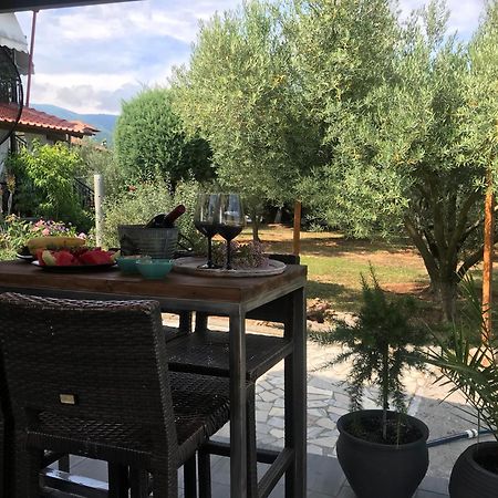 Terra Holiday Homes Аспровалта Екстер'єр фото